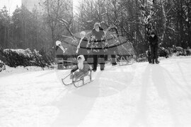 Зима в София