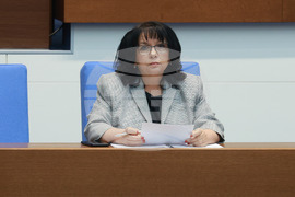 Народно събрание - парламентарен контрол