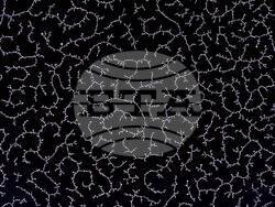 Творба от изложбата Double-Double. Снимка: Hostgallery