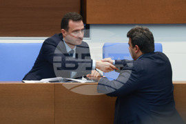 Народно събрание - парламентарен контрол