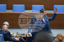 Народно събрание - парламентарен контрол