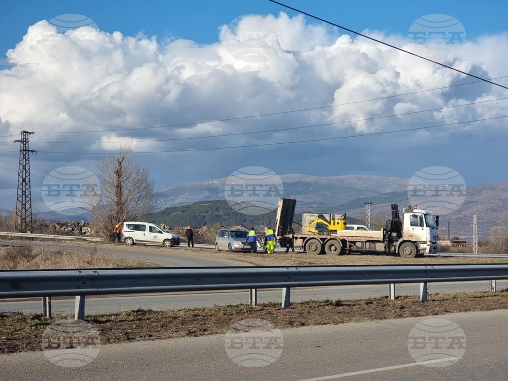 Започва поставянето на предпазна мрежа на пътя Кюстендил - Ябълково