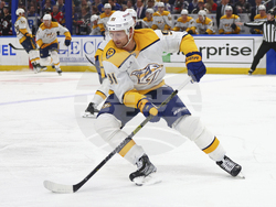 Predators Sabres Hockey