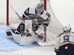 Blues Avalanche Hockey