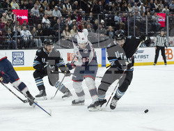 Blue Jackets Utah Hockey