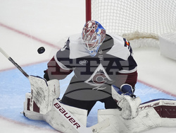 Blues Avalanche Hockey