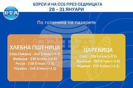 Цени на основни зърнени стоки по световните борси и на ССБ през седмицата 28 - 31 януари