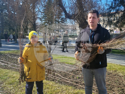 Търговище - раздаване на фиданки - инициатива