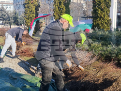 Търговище - раздаване на фиданки - инициатива