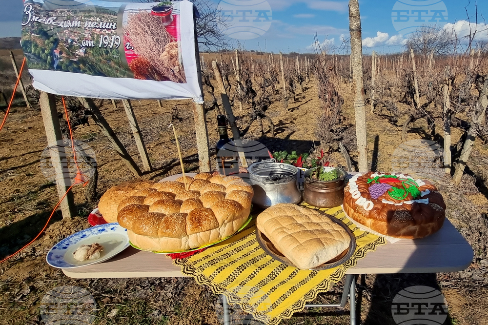 Село Змейово - празник на виното - Цар Трифон
