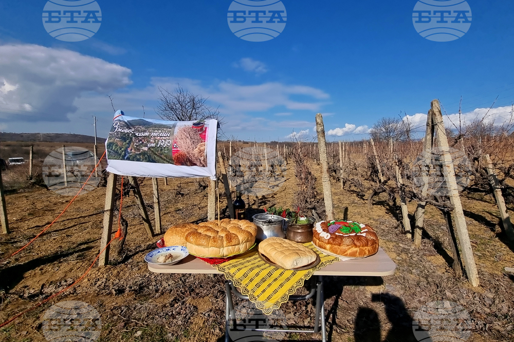 Село Змейово - празник на виното - Цар Трифон