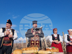 Село Змейово - празник на виното - Цар Трифон