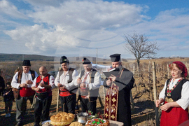 Село Змейово - празник на виното - Цар Трифон