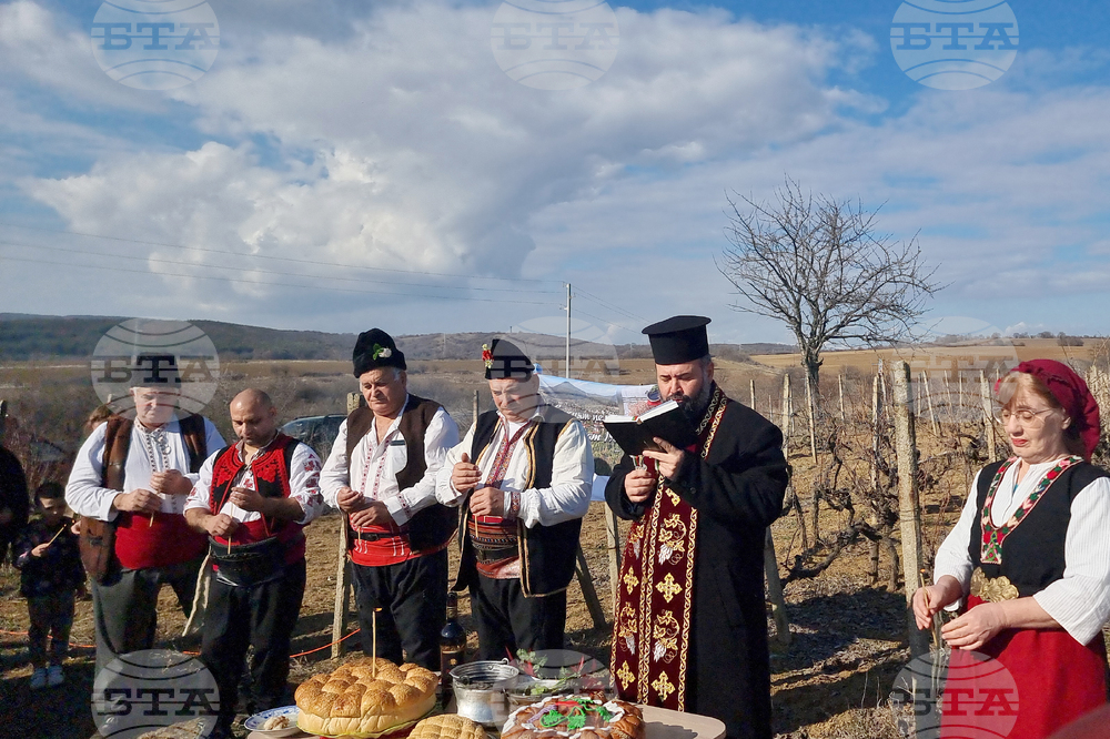 Село Змейово - празник на виното - Цар Трифон