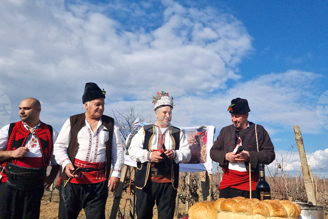 Село Змейово - празник на виното - Цар Трифон