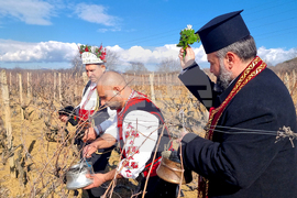 Село Змейово - празник на виното - Цар Трифон