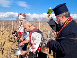 Село Змейово - празник на виното - Цар Трифон
