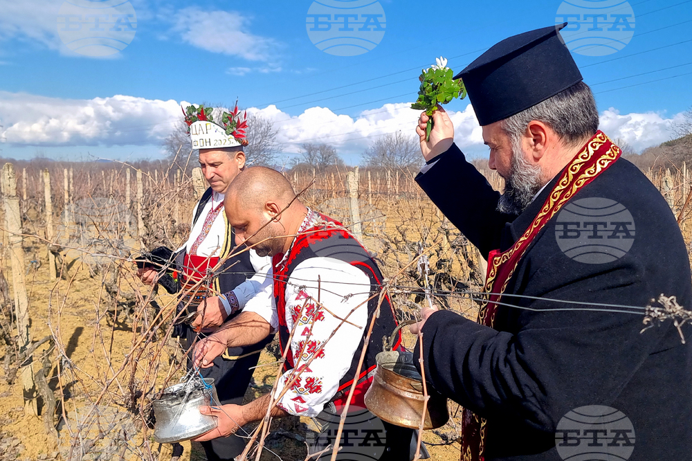 Село Змейово - празник на виното - Цар Трифон