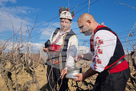 Село Змейово - празник на виното - Цар Трифон