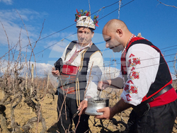 Село Змейово - празник на виното - Цар Трифон