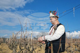 Село Змейово - празник на виното - Цар Трифон