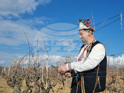 Село Змейово - празник на виното - Цар Трифон