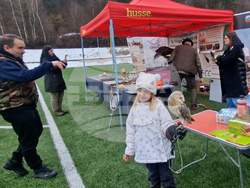 Смолян - празника на соколарите