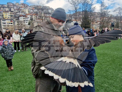 Смолян - празника на соколарите