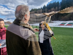 Смолян - празника на соколарите