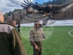 Смолян - празника на соколарите