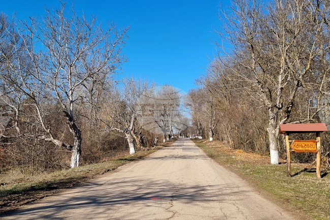 Observances: February 3