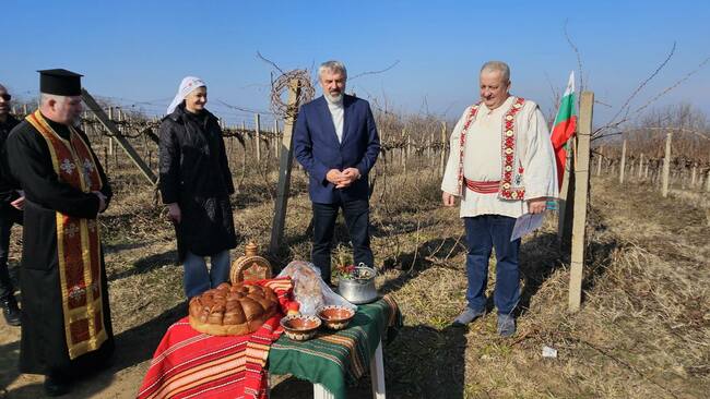 Областният управител Драгомир Драганов заряза лозите в Пиргово. Инициативата бе организирана от Ротари клуб „Русе – Дунав“
