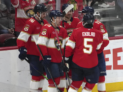 Blackhawks Panthers Hockey