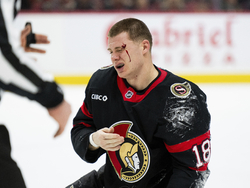 Wild Senators Hockey