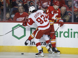 Red Wings Flames Hockey