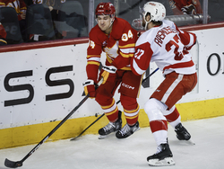 Red Wings Flames Hockey
