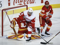 Red Wings Flames Hockey