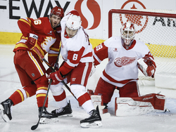 Red Wings Flames Hockey