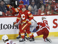 Red Wings Flames Hockey