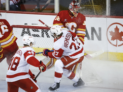 Red Wings Flames Hockey