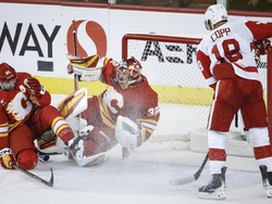 Red Wings Flames Hockey