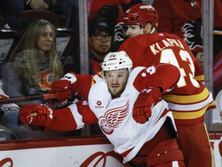 Red Wings Flames Hockey