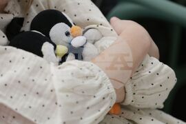 „Антарктида - бяла приказка. Историята на пингвина Гошо” - книга - представяне