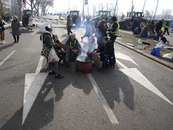 Serbia Protests