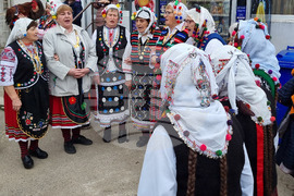 Село Кривини - празник - мъжка рожба