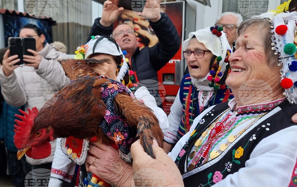 Село Кривини - празник - мъжка рожба