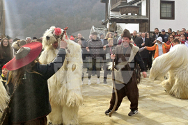 Село Делчево - празник на виното „Трифон Зарезан”