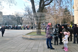 Разград - дръвчета - инициатива