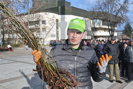 Разград - дръвчета - инициатива
