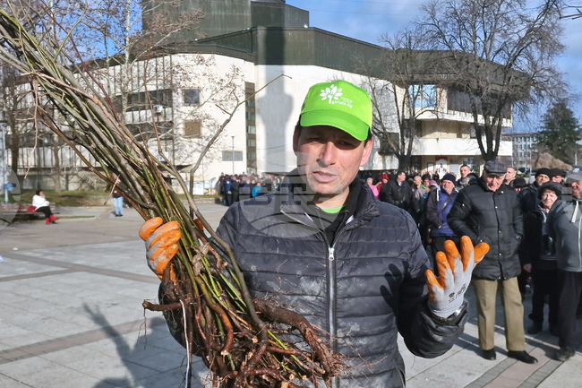 Gorata.bg Initiative Gives Out Over 16,000 Saplings in Pernik